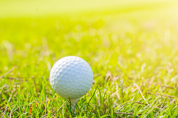 golf course and golf ball on a green grass field close up
