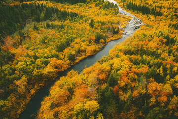Aerial view River and Autumn woods Landscape, Generative AI