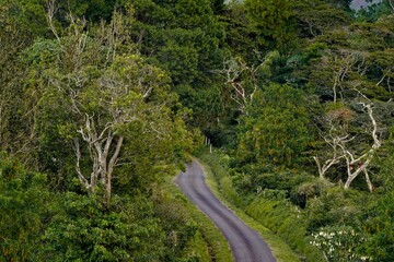 Fototapeta premium Aerial view of Boquete in the Chiriqui province of western Panama.