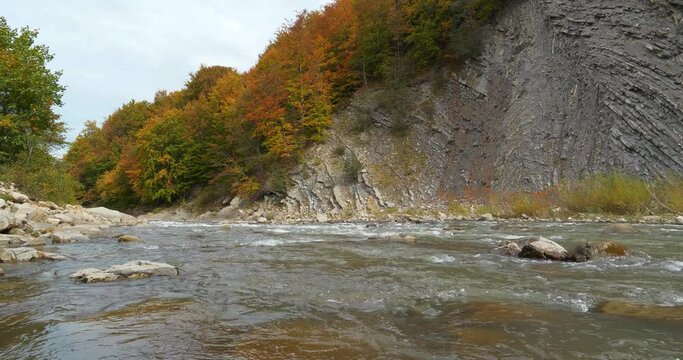 Beautiful mountain river with rapid current. The Prut river and mountain folds in Yaremche City, Ukraine, known as Yaremche folds - biggest outcrop of Stryi formation in Europe, video with water noise