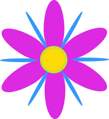 Flower with purple petals and a yellow center