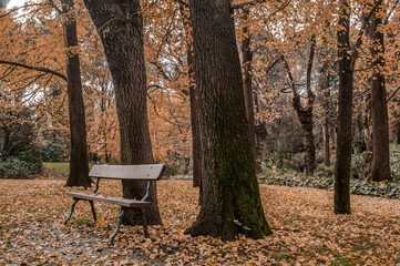 landscapes of the capricho park in the city of madrid