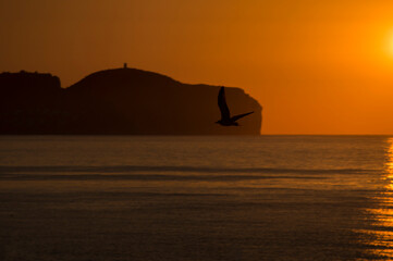 Fototapeta na wymiar Image of a sunrise on the beach in Spain