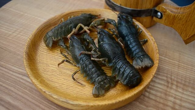 Live crayfish on a plate. Shooting of live crayfish.
