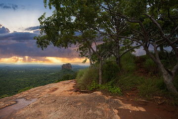 Jungle trees on the top of Pidurangala mountain. View to Sigiriya Lion Rock in Sri Lanka. Landscape panorama. After climb up the hill for tourists for wonderful view point to Lion Rock.