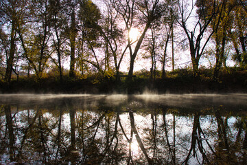 reflection of trees in water