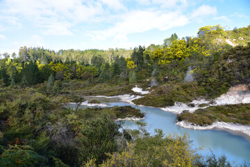 Geothermal activity in Rotorua, New Zealand