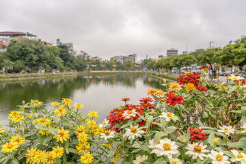 A flower in focus with a pond blurred in the background, in Hanoi, Vietnam.