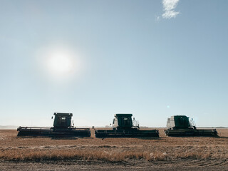 Fototapeta premium 3 Combines in Line on Field.