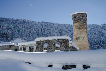 Swan tower and an abandoned house next to a snow-covered forest