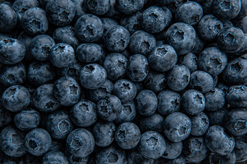 Fresh, ripe, juicy blueberries with water drops. Berry macro shot selective focus.