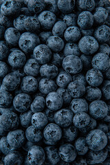 Fresh, ripe, juicy blueberries with water drops. Berry macro shot selective focus.