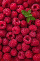 Fresh, ripe, juicy raspberries with water drops. Berry macro shot selective focus.