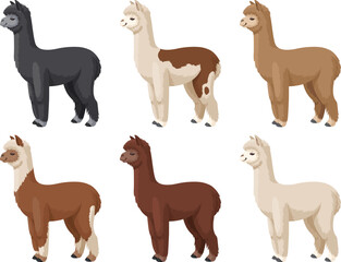 Alpaca set vector illustration. Colored alpacas standing on a white background