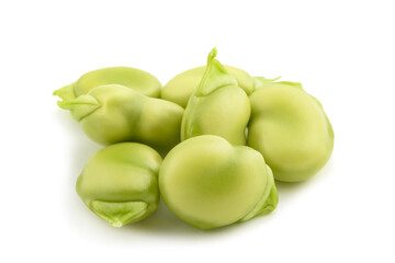 fava bean (Vicia faba)