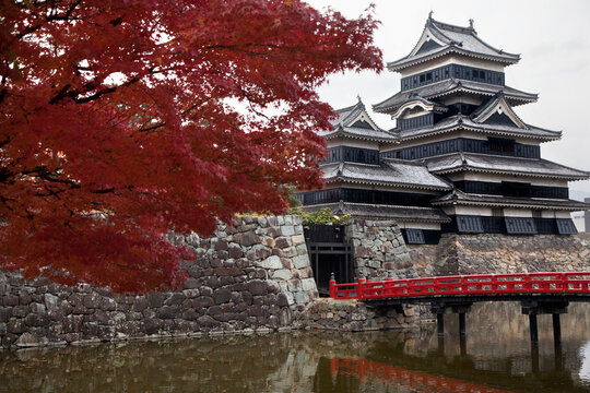 Fall Colors Surround Matsumoto Castle, Nagano, Japan