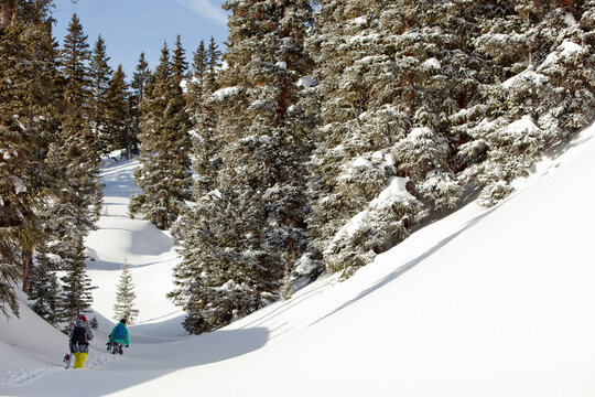 Snowboarders break trail up a snowy valley off Highway 550 on Red Mountain Pass, Colorado.