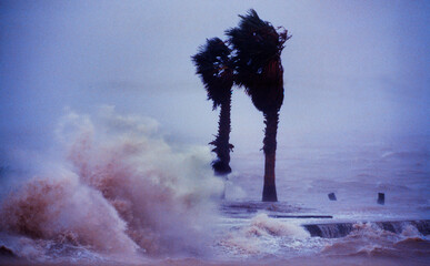 Hurricane Gilbert slams into the Texas/Mexico coastine.