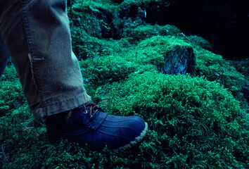 A foot on a clump of moss, Glacier Bay, Alaska, USA.