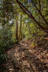 glen falls highlands north carolina