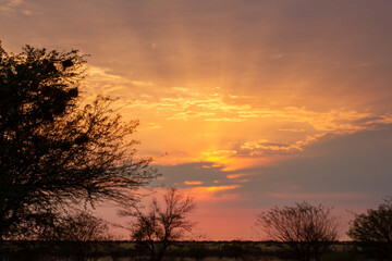 Fototapeta na wymiar Sunrise rays in Namibia