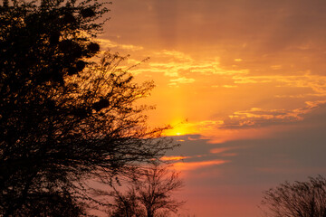 Sunrise rays in Namibia