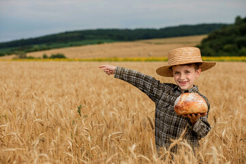 Little boy in the straw hat and shirt he held out his handing with bread in ripe grain. concept...