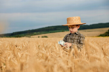 Little boy is holding dollars among a field of ripe ears of corn. Profit from agriculture during harvesting season in the summer