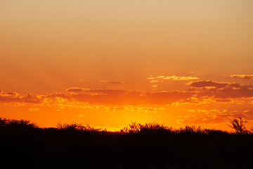 Fototapeta premium Sunrise in Namibia