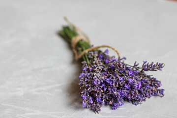 Close-up view of bunch of purple blue lavender isolated on a white background