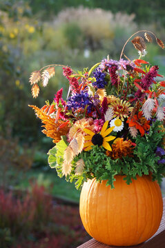 A colorful arrangement of fresh cut garden flowers, foliage, and ornamental grasses displayed in a hollowed-out pumpkin