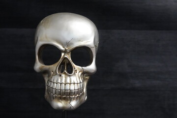 metallic skull with black background with focus on center of skull