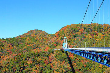 竜神大吊橋と美しい紅葉