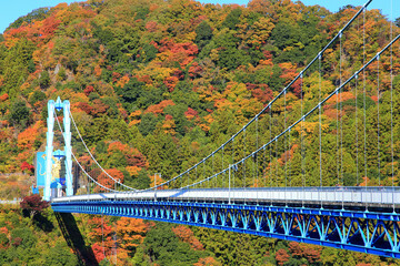 竜神大吊橋と美しい紅葉