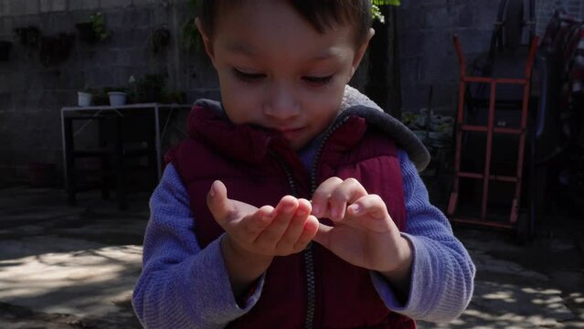 boy happy for the lizard that he caught in his hand