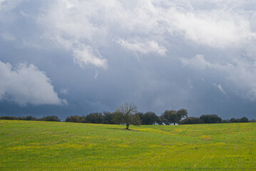 landscape with clouds