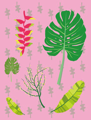 Tropical plants with monstera, banana leaves, etc