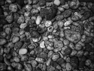 Smooth round grey pebbles gravel small stone texture for background.