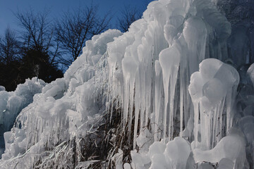 Frozen vegetation in Japanese landscape. Yamanashi-ken, Japan.