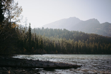 mountain river in the winter