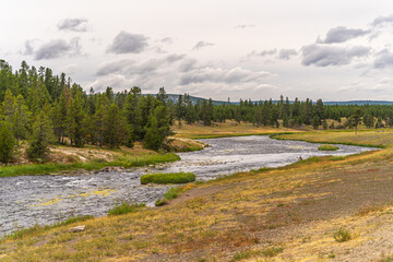 Fototapeta na wymiar Firehole River in Yellowstone National Park.