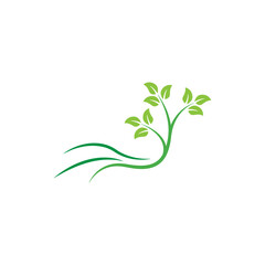 Stylized twig elements with leaves, Green leaf collection, Leaf icon vector isolated on white background. Various shapes of green leaves on trees and plants, floral elements 