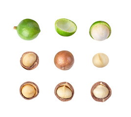 macadamia nut on transparent png