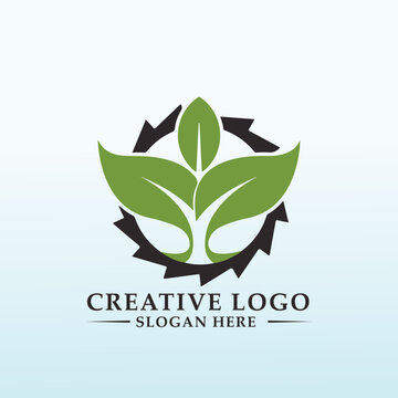 suitable logo for innovative organic vegetable production
