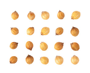 Coriander seeds on transparent png