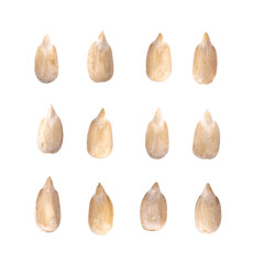 Peeled Sunflower seeds isolated on transparent png