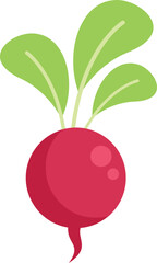Radish icon flat vector. Eco farming. Field garden isolated