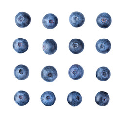 Blueberries on transparent png