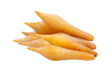 finger root (Krachai) Thai herb on transparent png