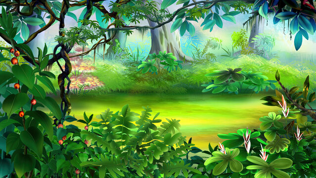 Rainforest plants illustration